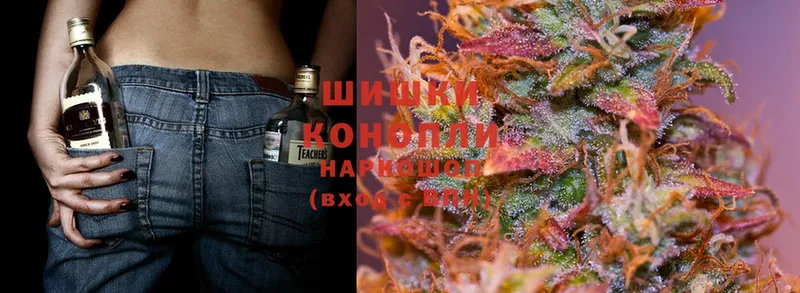 Каннабис OG Kush  Солигалич 